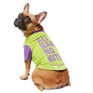 MARTHA STEWART PETS Halloween T-shirt